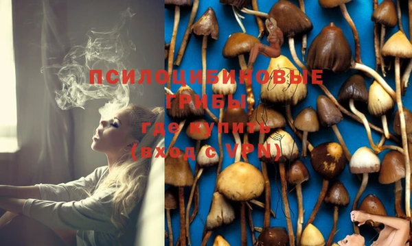 бошки Михайловка
