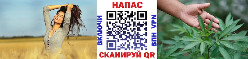 Шишки марихуана THC 21%  Купить закладки  Лесной 